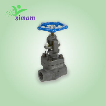 Forged Gate Valves