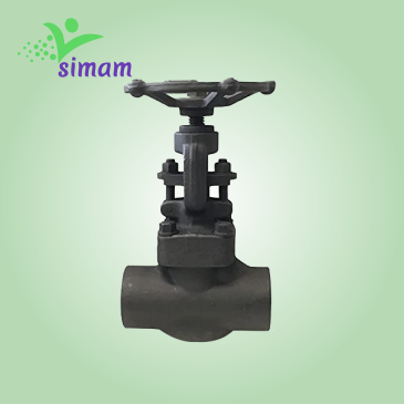 Forged Globe Valves