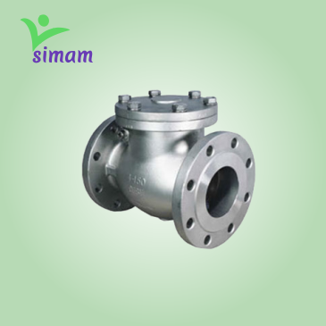 Swing Check Valves